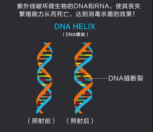 微信圖片_20200121091125.png 微信圖片_20200121091125.png