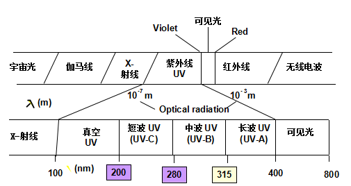 圖片 11.png 圖片 11.png